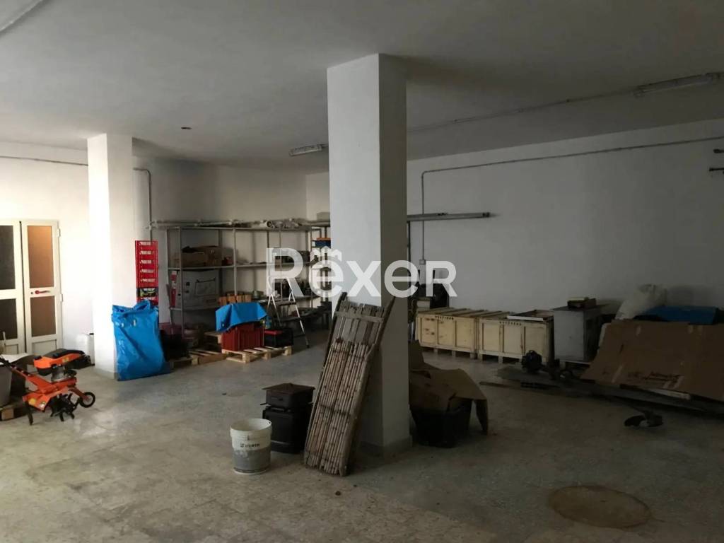 immagine annuncio 12 di 13