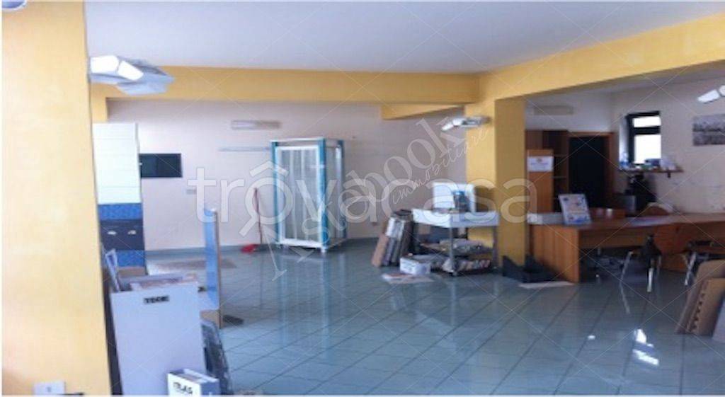 immagine annuncio 5 di 14