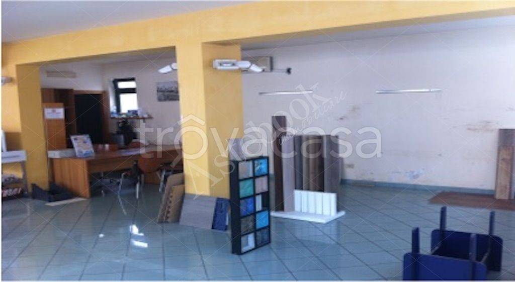 immagine annuncio 6 di 14