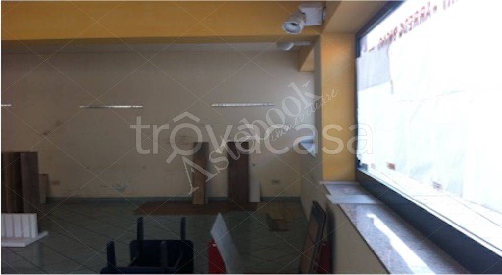 immagine annuncio 7 di 14