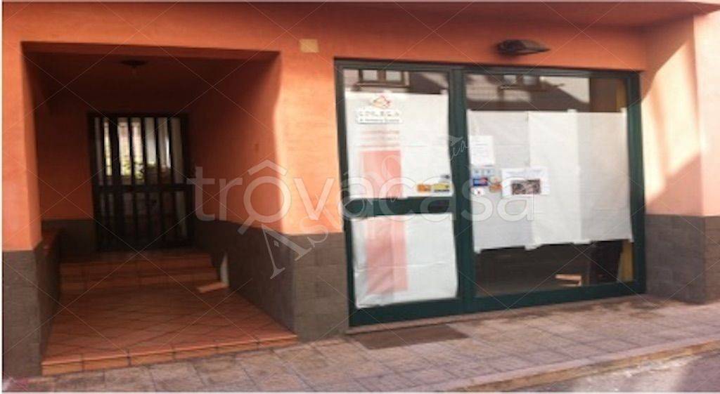 immagine annuncio 12 di 14