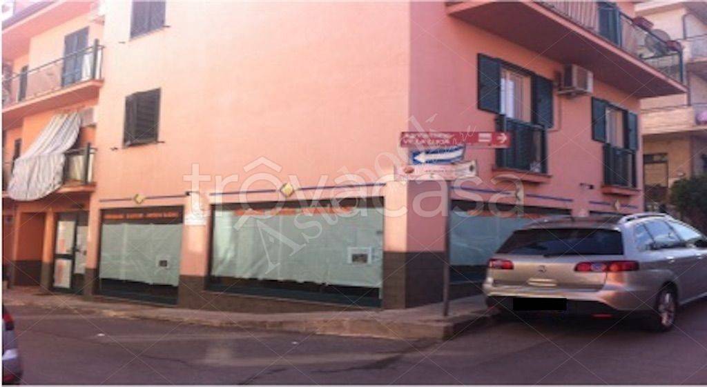 immagine annuncio 13 di 14