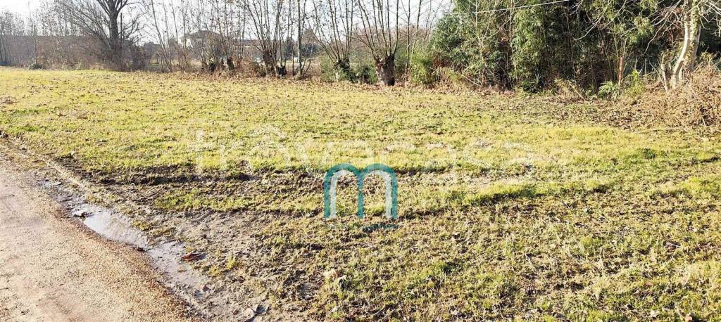 immagine annuncio 4 di 7