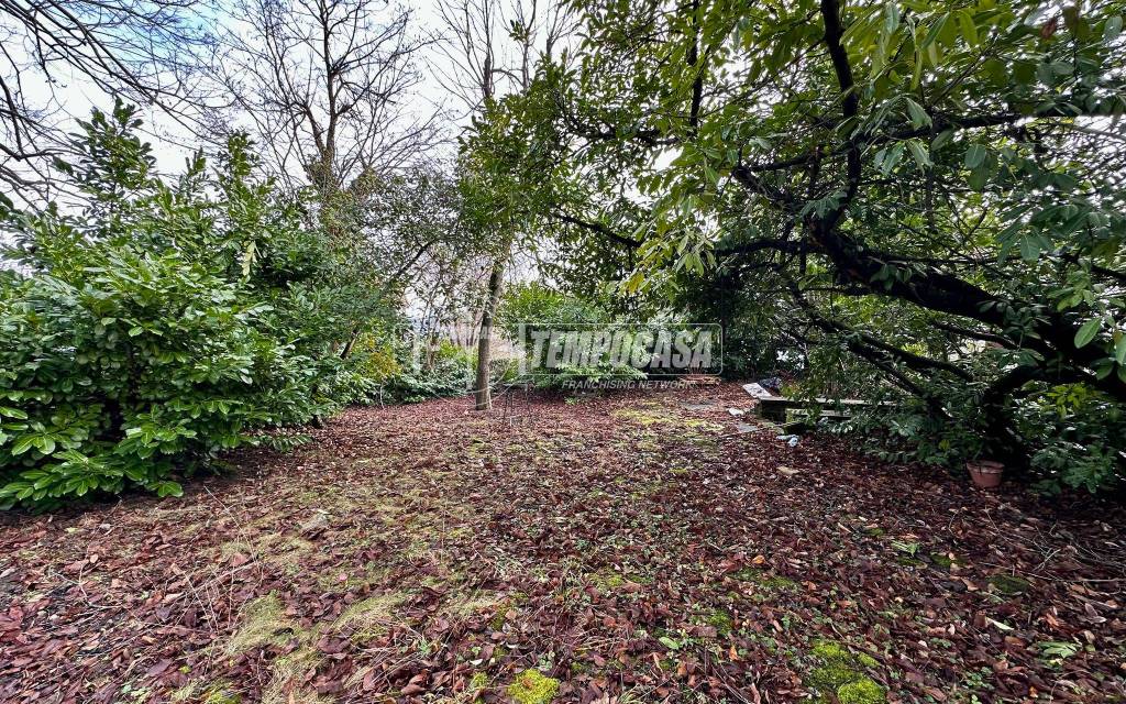 immagine annuncio 9 di 13