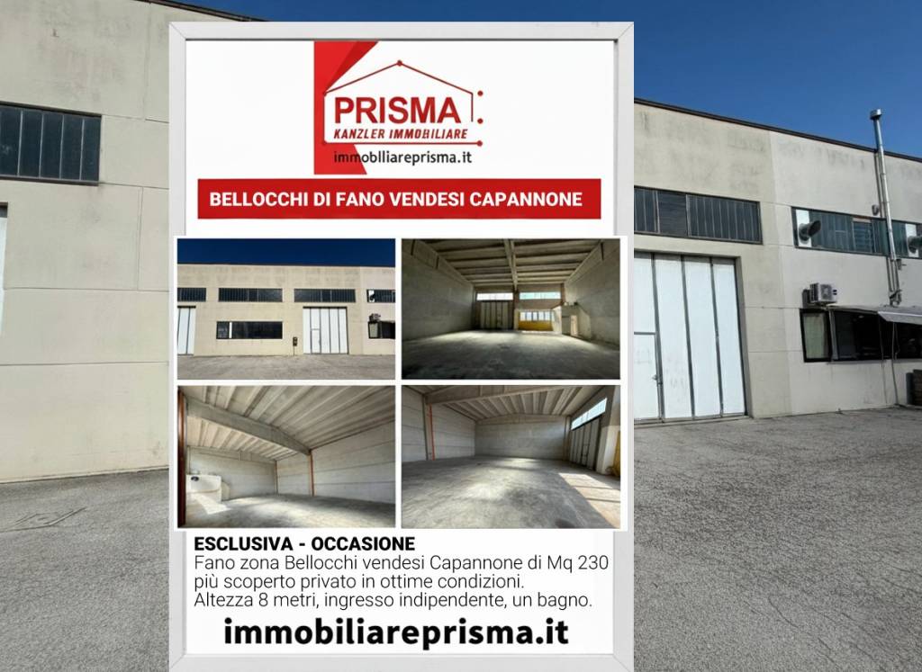 immagine annuncio 1 di 8