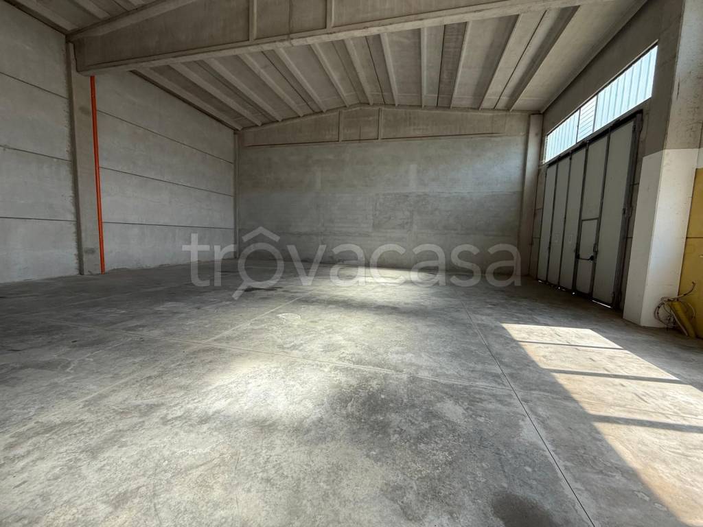 immagine annuncio 3 di 8