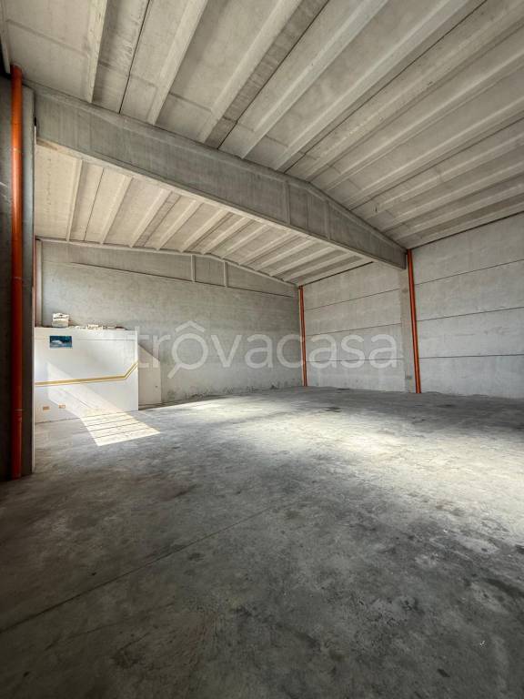 immagine annuncio 4 di 8