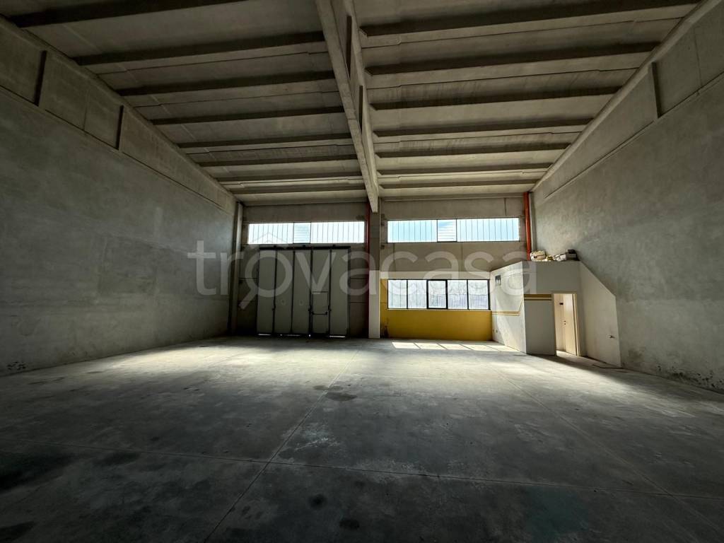 immagine annuncio 5 di 8