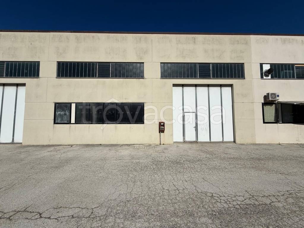 immagine annuncio 2 di 8