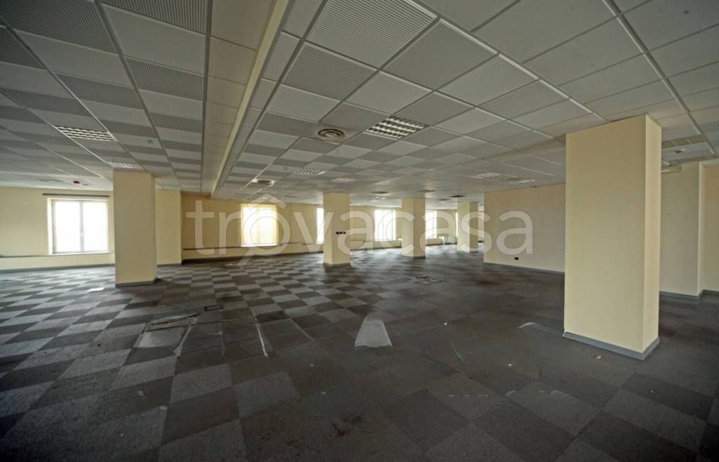 immagine annuncio 10 di 14