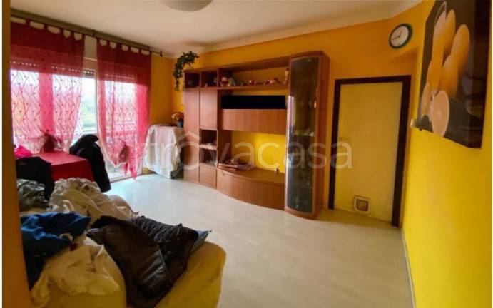 immagine annuncio 5 di 12