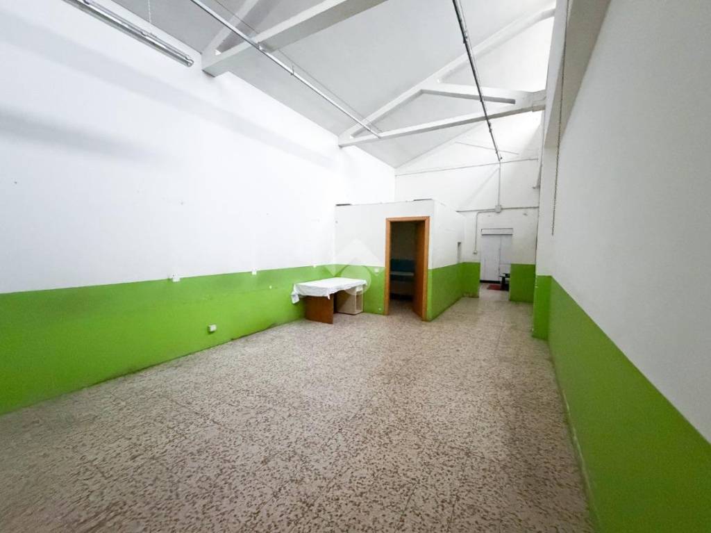 immagine annuncio 2 di 12