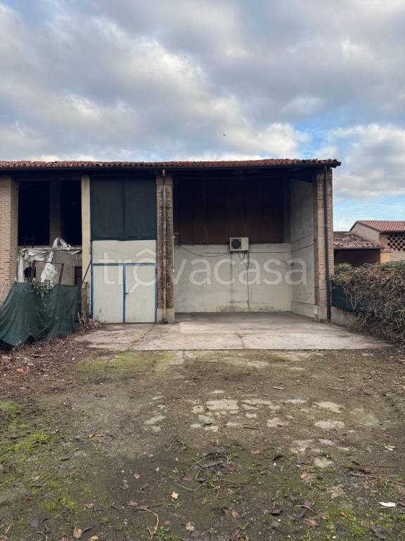 immagine annuncio 2 di 9