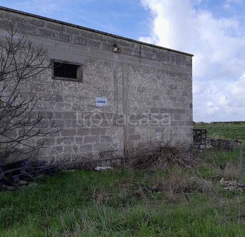 immagine annuncio 2 di 4