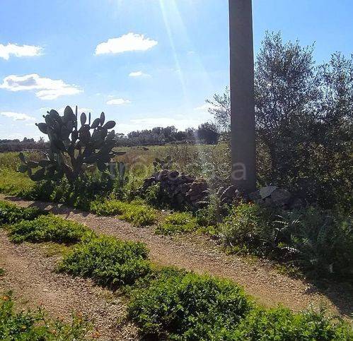 immagine annuncio 1 di 6