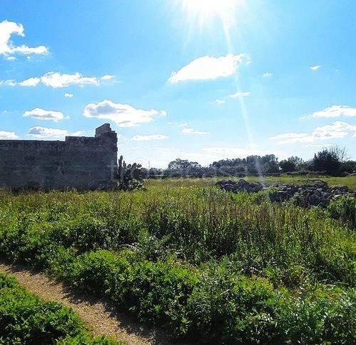 immagine annuncio 2 di 6