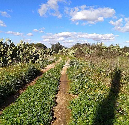 immagine annuncio 4 di 6