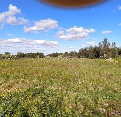 immagine annuncio 5 di 6