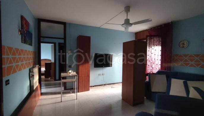 immagine annuncio 4 di 12