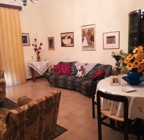 immagine annuncio 2 di 8