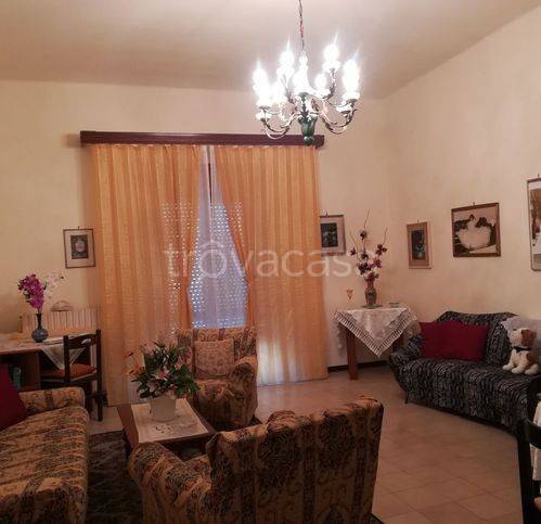 immagine annuncio 4 di 8