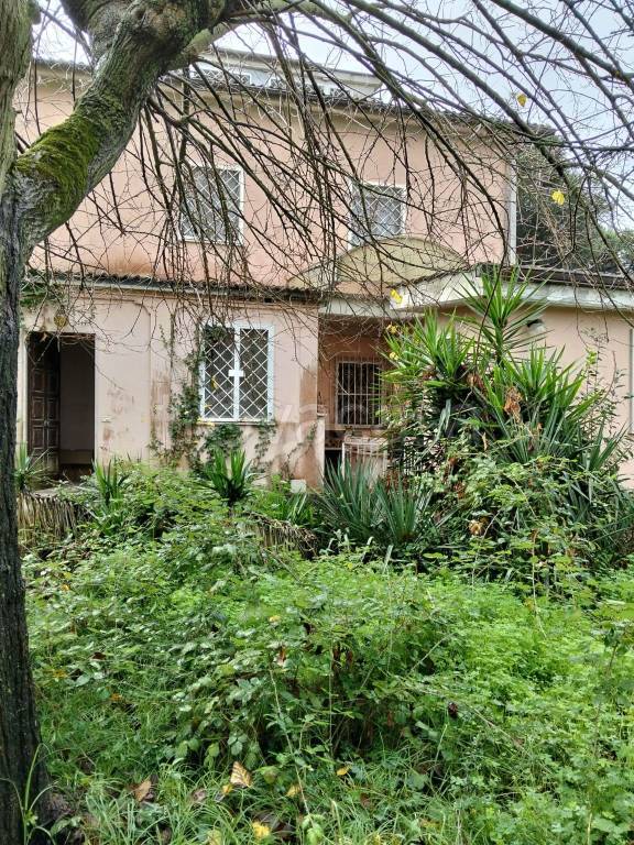 immagine annuncio 2 di 6