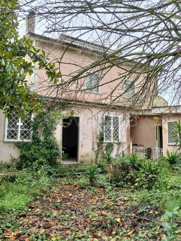 immagine annuncio 3 di 6