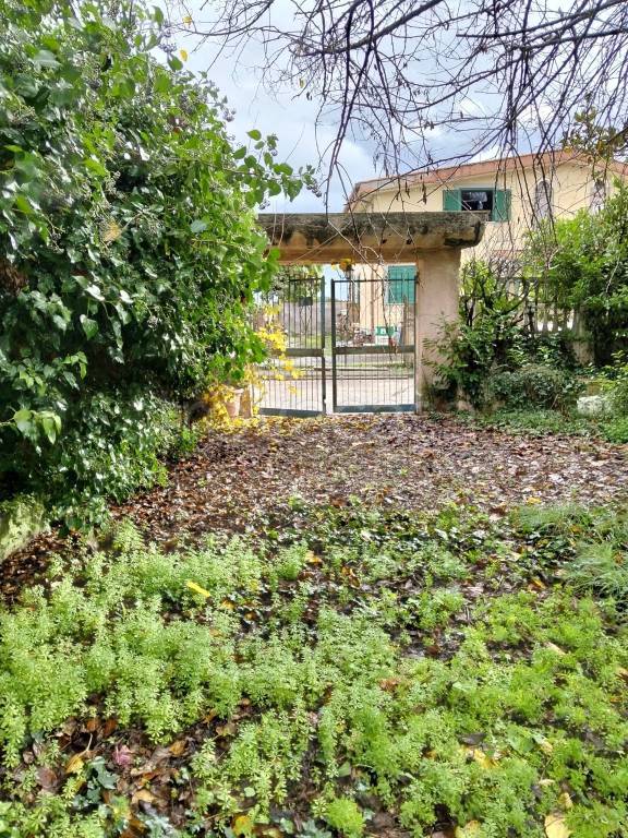 immagine annuncio 5 di 6