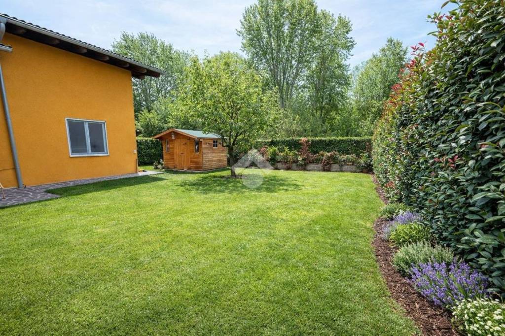 immagine annuncio 2 di 12