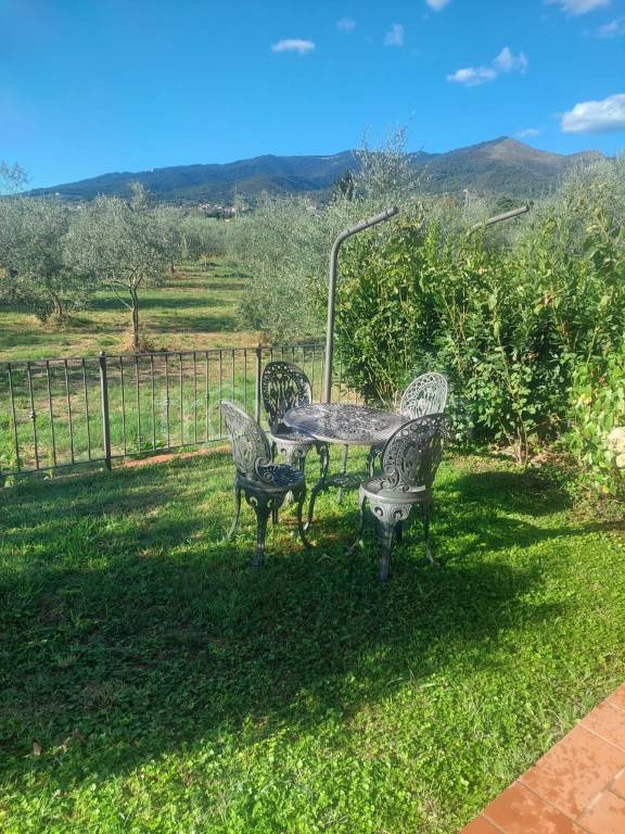 immagine annuncio 4 di 6