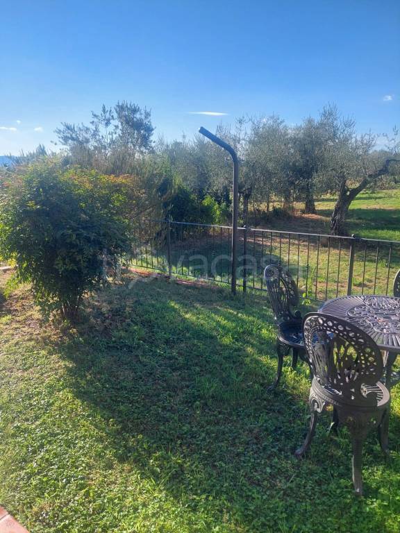 immagine annuncio 5 di 6