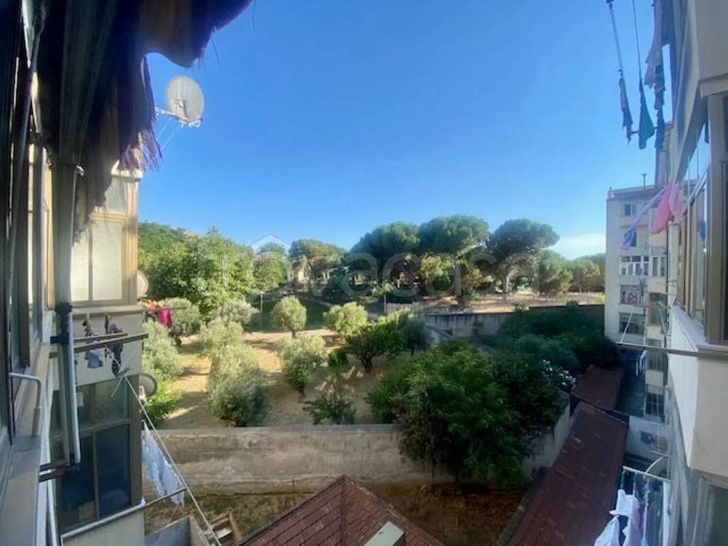 immagine annuncio 3 di 14