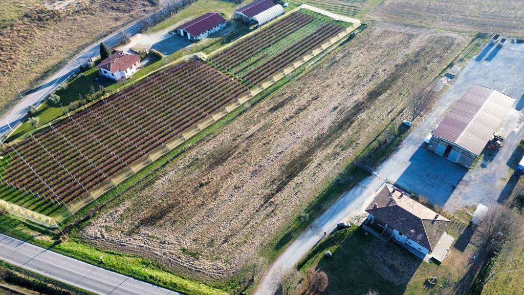 immagine annuncio 1 di 7