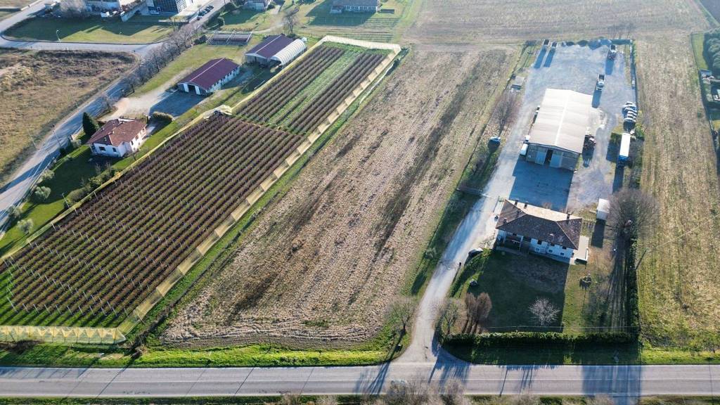 immagine annuncio 2 di 7