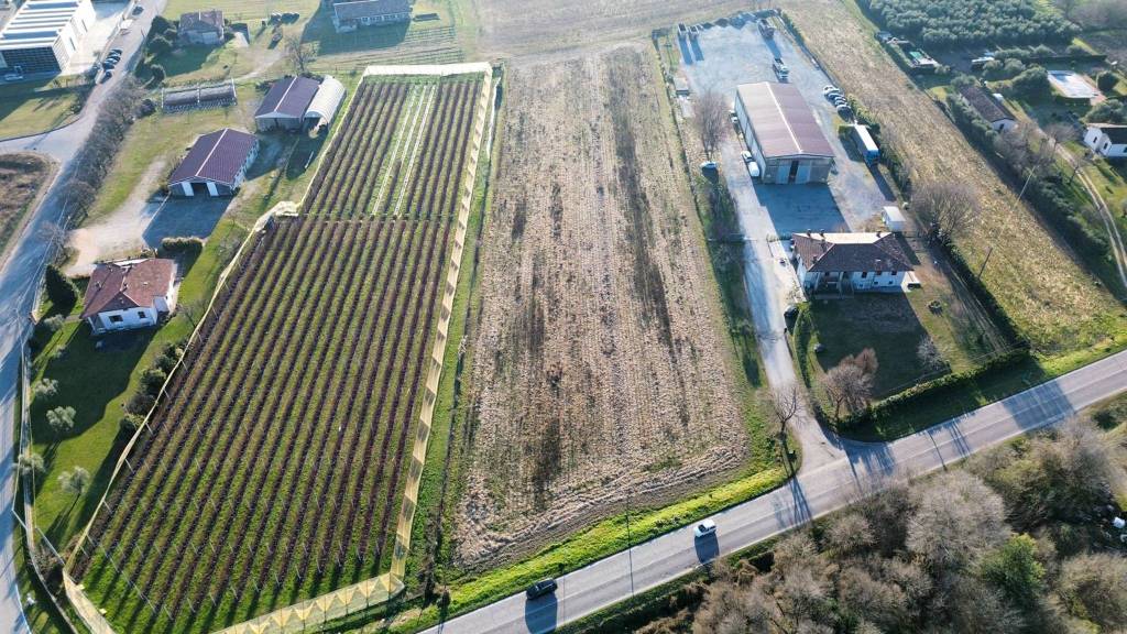 immagine annuncio 4 di 7