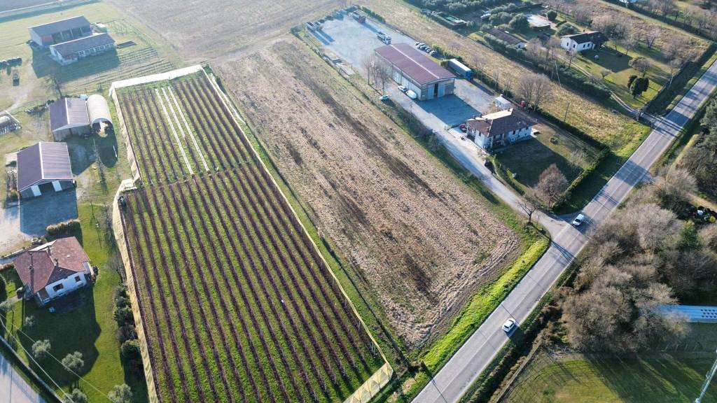 immagine annuncio 5 di 7