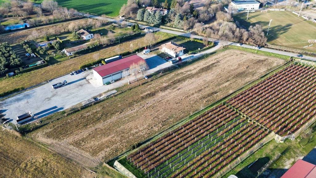 immagine annuncio 6 di 7