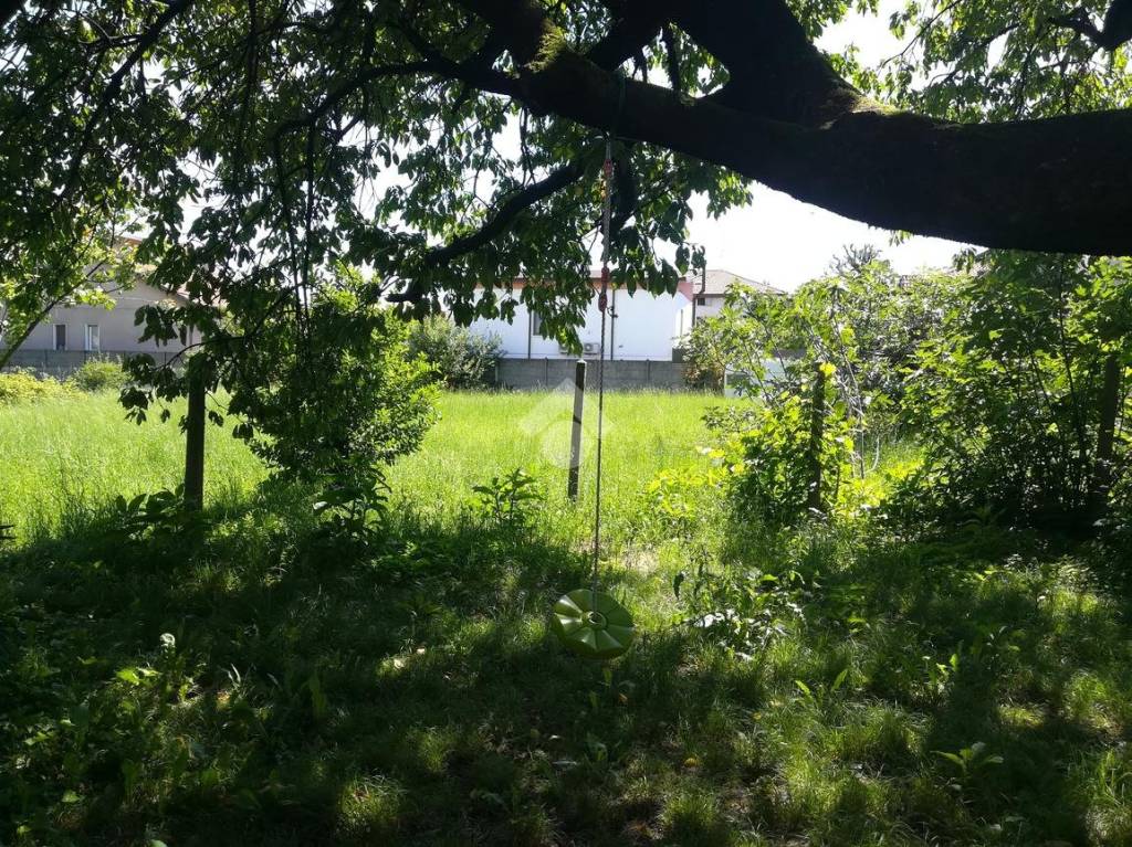 immagine annuncio 4 di 7