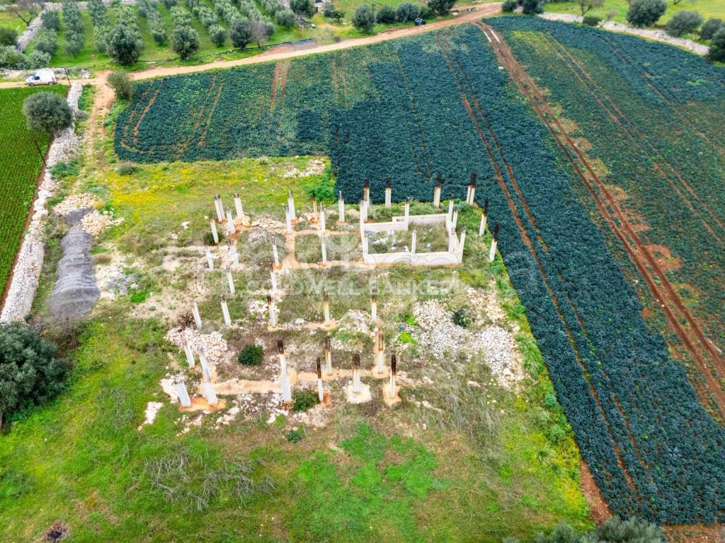 immagine annuncio 10 di 12