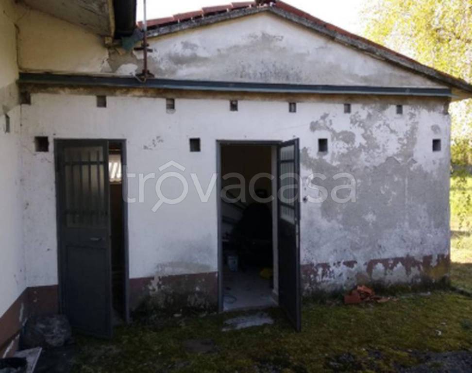 immagine annuncio 5 di 11