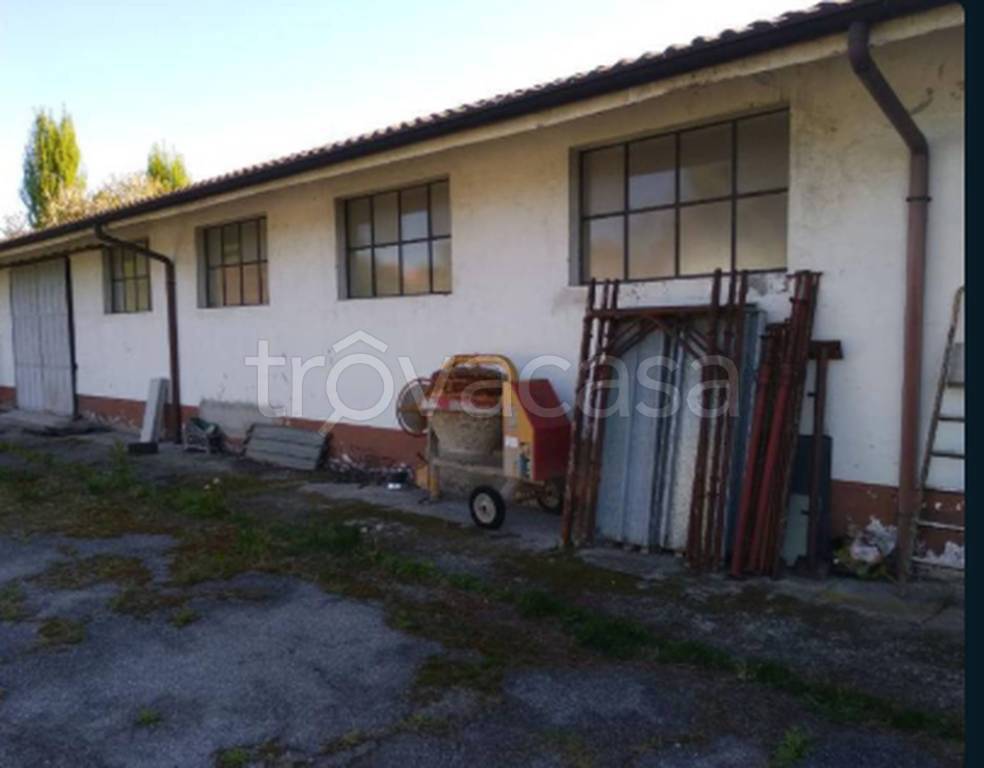 immagine annuncio 6 di 11