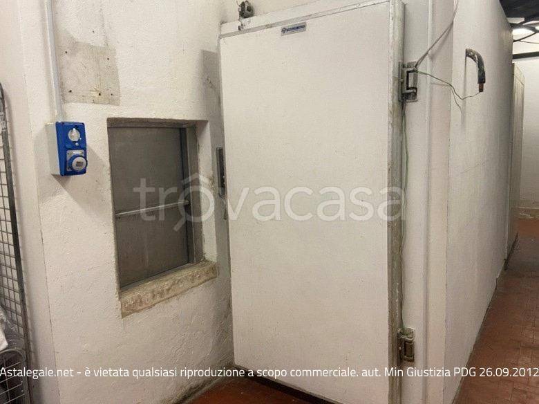 immagine annuncio 5 di 14