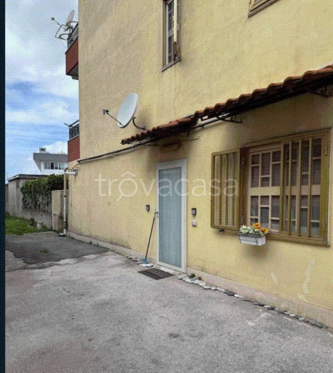 immagine annuncio 3 di 14