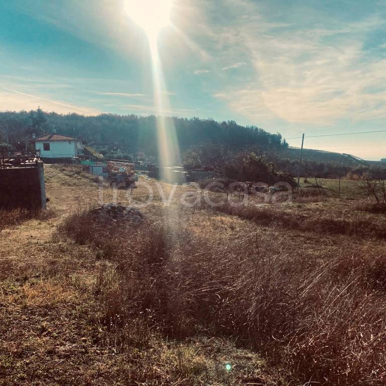 immagine annuncio 11 di 14