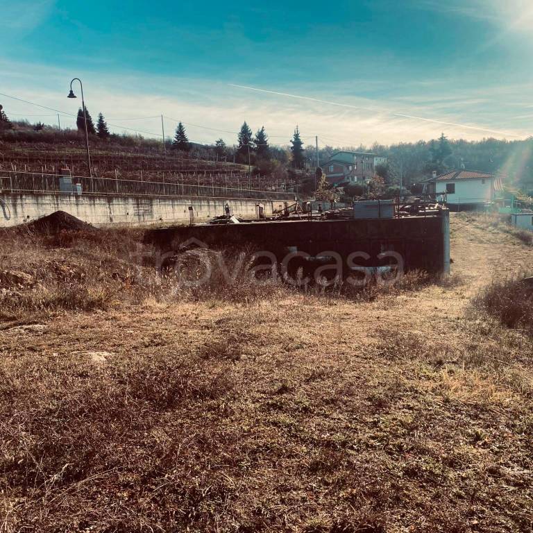 immagine annuncio 12 di 14