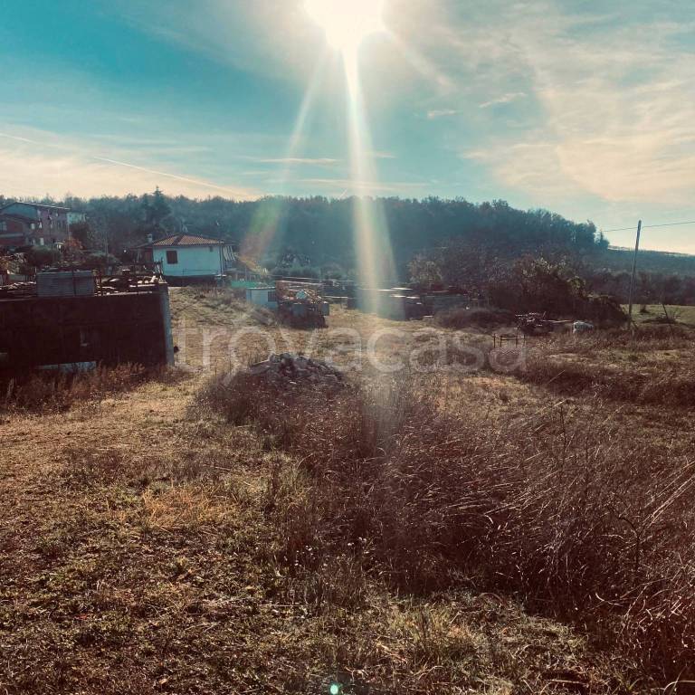 immagine annuncio 13 di 14