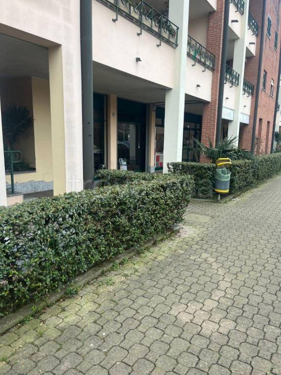 immagine annuncio 1 di 3