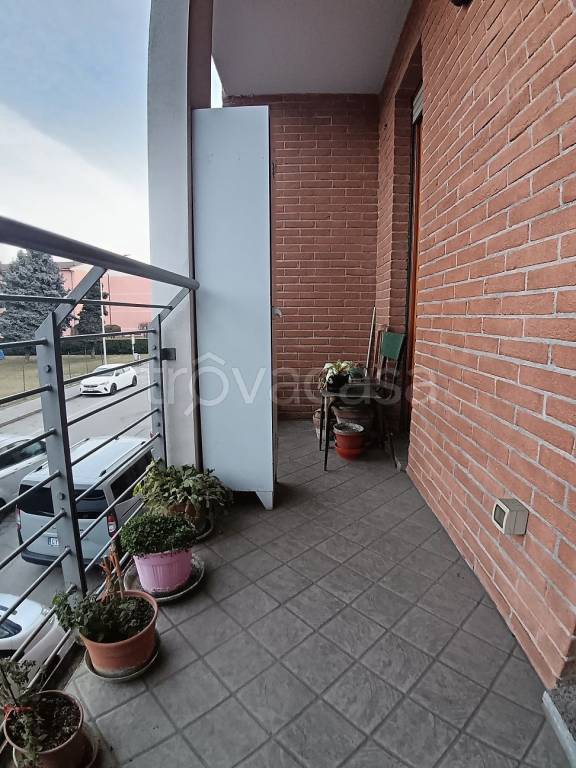 immagine annuncio 11 di 14