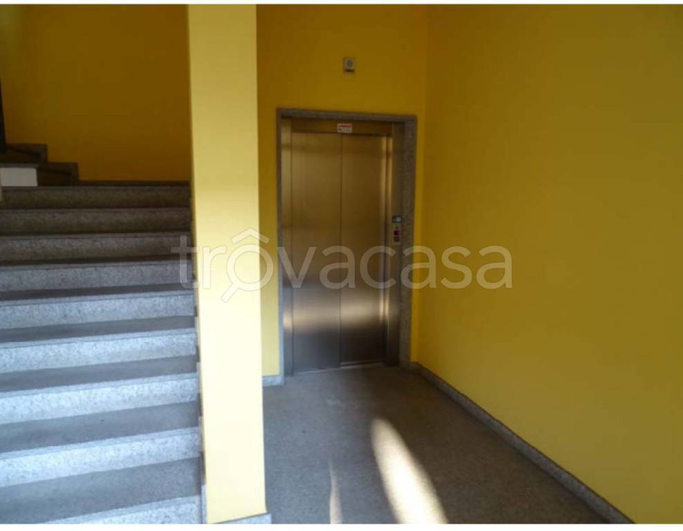 immagine annuncio 7 di 13