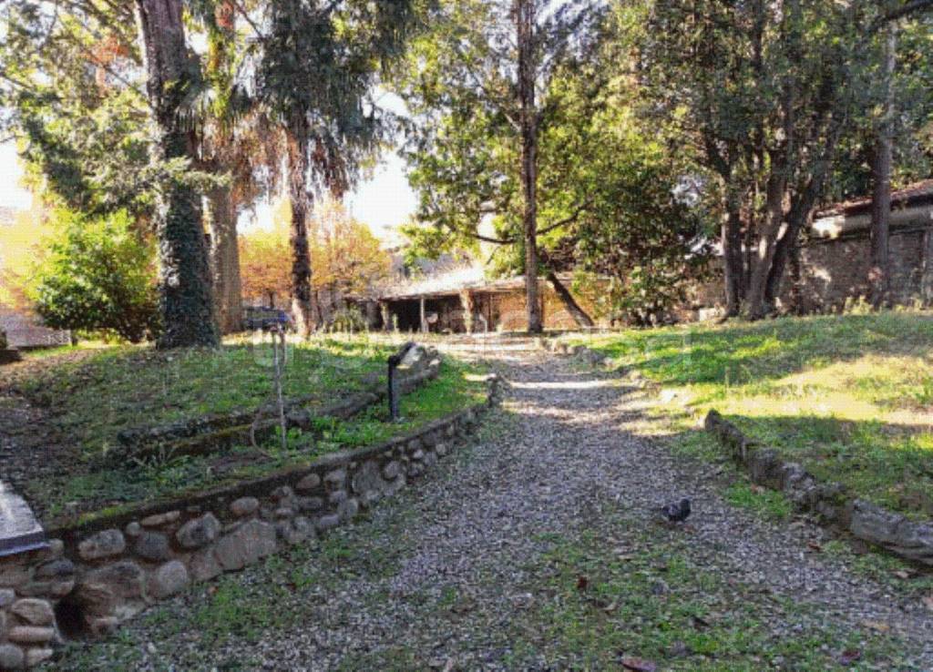 immagine annuncio 7 di 12